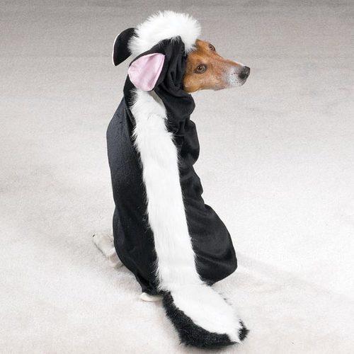 Lil' Stinker Skunk Dog Halloween Costume
