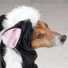 Lil' Stinker Skunk Dog Halloween Costume