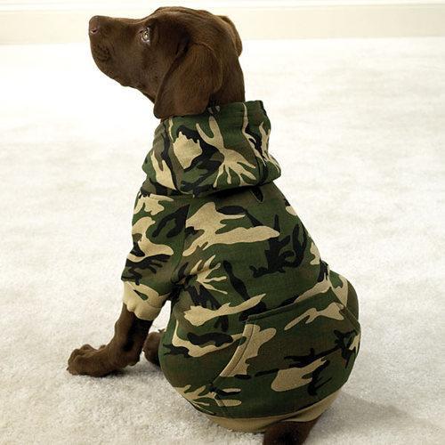 Camo Dog Hoodie - Green