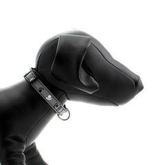 Casual Canine Reflective Pawprint Dog Collar - Gray