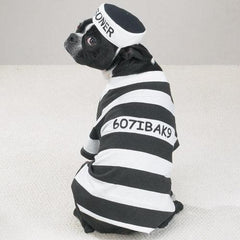 Prisoner Dog Halloween Costume by Casual Canine
