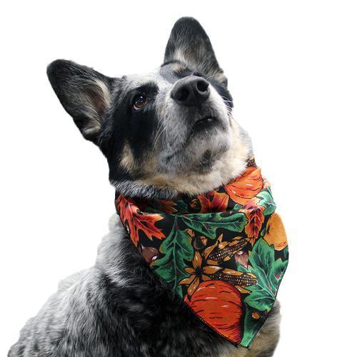 Top Performance Fall Dog Bandana