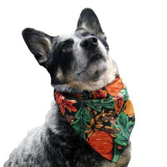 Top Performance Fall Dog Bandana