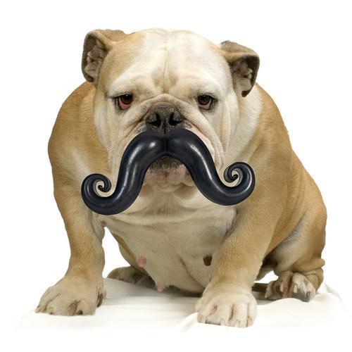 Humunga Stache Dog Toy